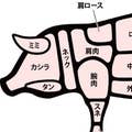 Taku.u